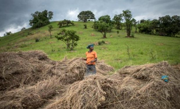 Da Silva señaló que la incertidumbre por el cambio climático se traduce también en la volatilidad de los precios.