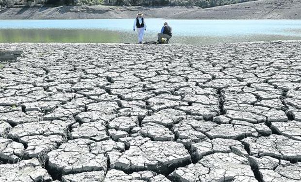 Financistas proponen acciones para limitar el cambio climático