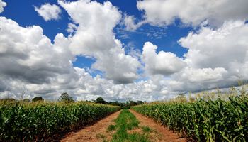Los desafíos de la agenda climática