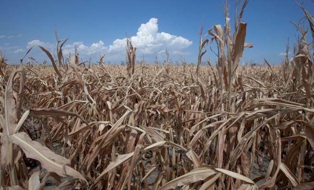 Cambio climático tendrá fuertes costos económicos