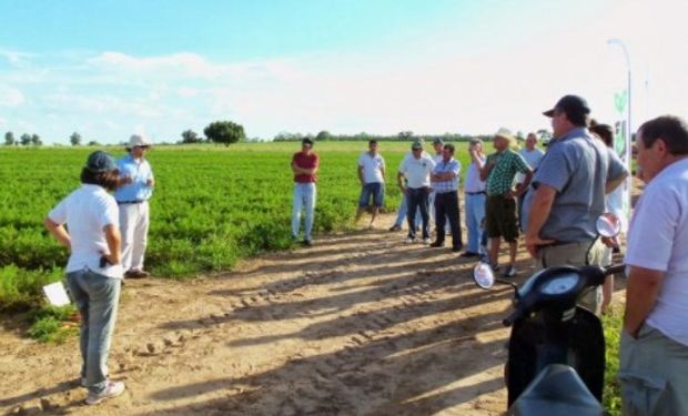 Pedido de informe en el Senado por Cambio Rural.