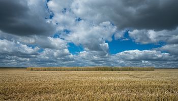 Cambia el tiempo y habrá tormentas fuertes: qué zonas del campo se verán alcanzadas Cambia el tiempo y habrá tormentas fuertes: qué zonas del campo se verán alcanzadas