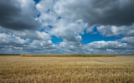 Nos acercamos al verano y las temperaturas de los últimos días así lo demuestran, con tardes muy calurosas e incluso eventos de tormentas aisladas pero localmente fuertes