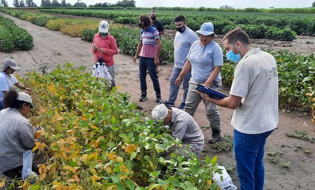 Reclamo del campo por una resolución judicial que encarece los juicios laborales