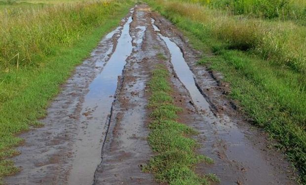 Advierten que el barro afectará el mercado de hacienda gorda