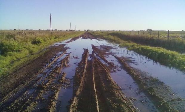 Proponen una ley para los consorcios camineros.