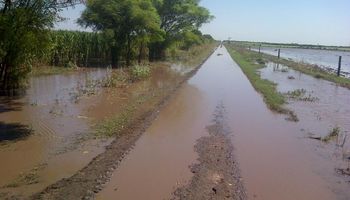Caminos rurales dificultan el traslado de la cosecha