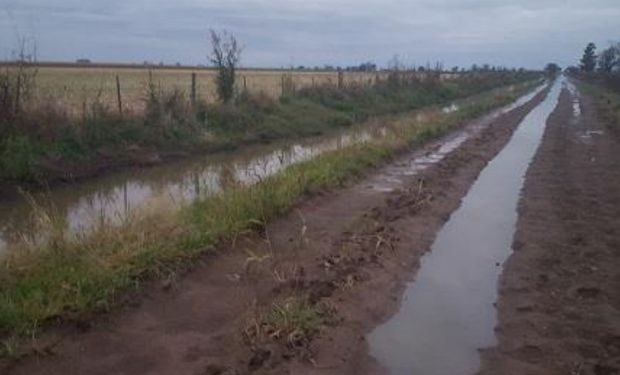 Lote de maíz de primera, luego de ser cosechado, totalmente anegado, con síntomas evidentes de destrucción física.
