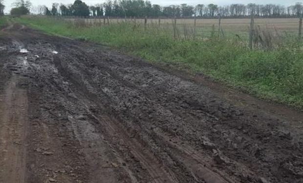 Camino secundario utilizado para transportar los granos a camión en ruta asfaltada.