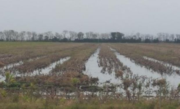 Camino secundario utilizado para transportar los granos a camión en ruta asfaltada.
