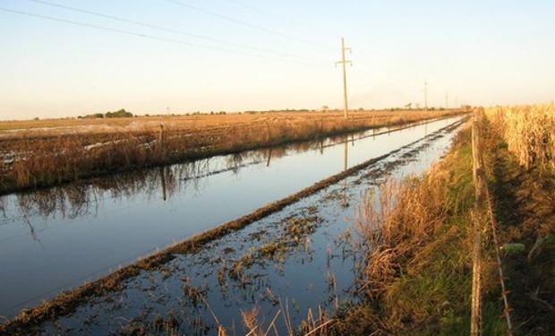 Los caminos rurales presionan a la soja