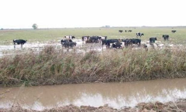 Aportes para reparar caminos rurales en Santa Fe