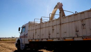 Córdoba: secuestraron un camión con 4 toneladas de soja por falta de documentación