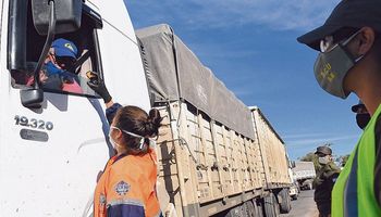 Transportistas sobre el nuevo certificado para circular: “Van a lograr parar el transporte”