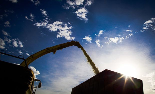 ¿Se desvanece La Niña? El nuevo pronóstico que se vuelve clave para el campo