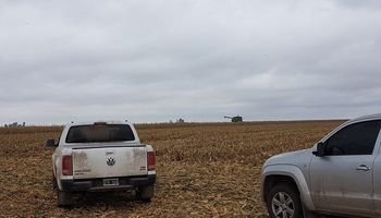 En junio se recuperó el patentamiento de vehículos y las pick ups siguen ganando terreno