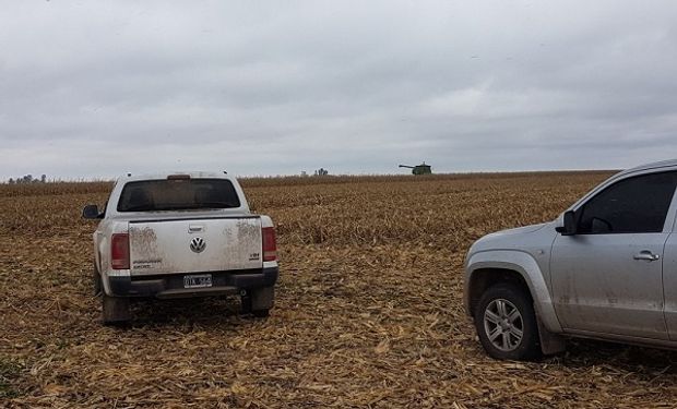 Bajaron las ventas de Ford Ranger y Fiat Toro