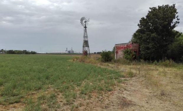 Las lluvias impactaron en las reservas de agua y se encuentran óptimas para el trigo