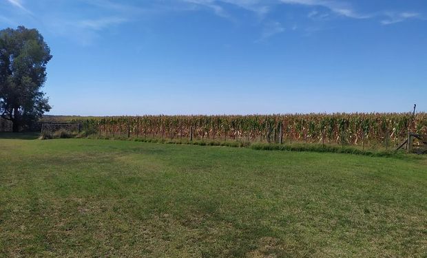 El Conicet desarrolla un boletín con información climática para los productores