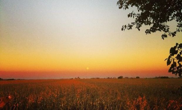 Tiempo: qué dice el pronóstico para navidad