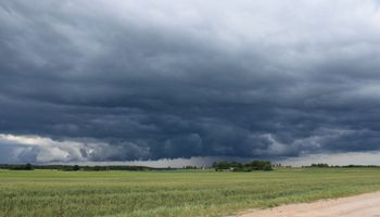 Fin de semana con lluvias: qué zonas se verán afectadas