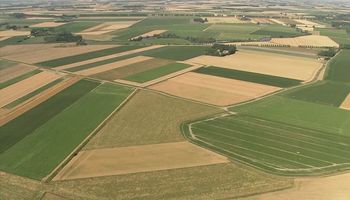 Destacan el valor de la mejora genética para la competitividad de la agricultura argentina 
