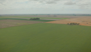 Los orígenes del campo: la técnica que permitió a una empresa agropecuaria recuperar ocho hectáreas que estaban perdidas