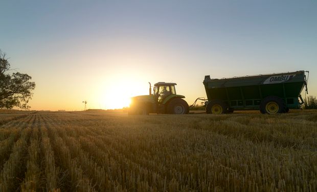 Día Nacional de la Agricultura: por qué se celebra el 29 de noviembre