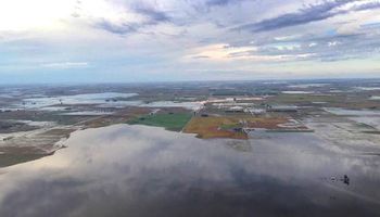 Las lluvias golpearon casi el 30% del campo bonaerense