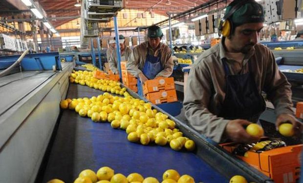 La Argentina es el principal productor del mundo de la fruta.