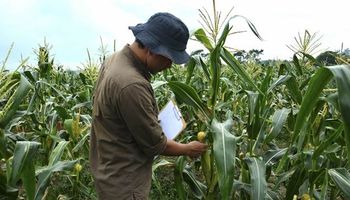 Realizarán una prueba piloto para el Censo Agropecuario de 2018