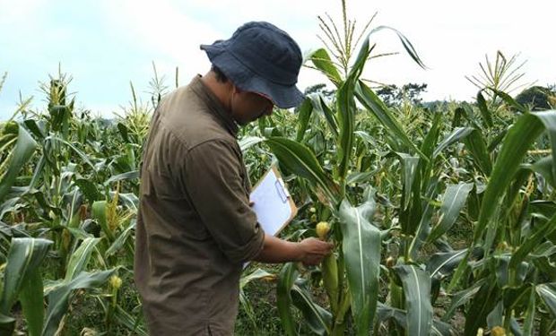 En 2018 buscarán tener una radiografía de la actividad en todo el país.