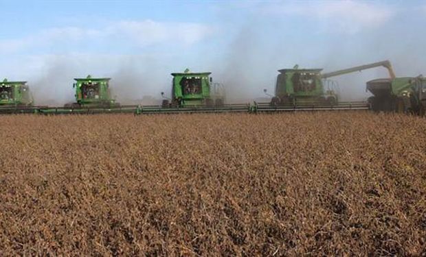 En soja se recaudarían US$ 3750 millones este año