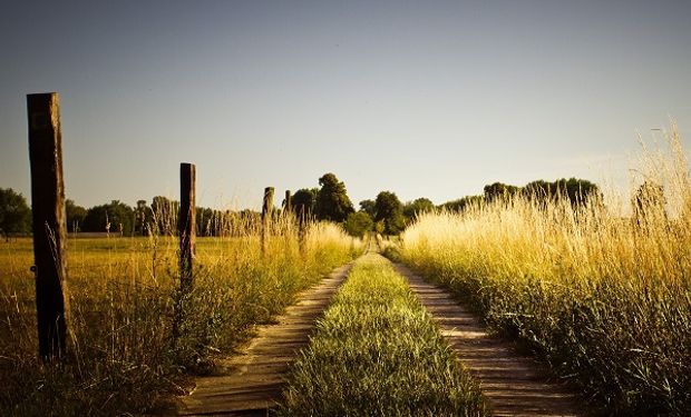 Campo argentino.