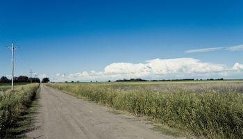 Las cinco oportunidades que Argentina no puede desaprovechar para potenciar su desarrollo agrícola