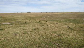 Kicillof lanzó un programa para ayudar a los productores que alquilan campo