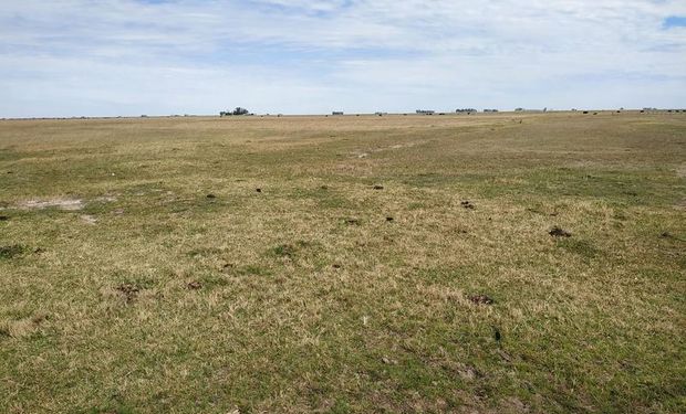 Kicillof lanzó un programa para ayudar a los productores que alquilan campo