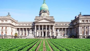 El nuevo Congreso: los 30 legisladores con vinculación directa al agro que se reparten entre Diputados y el Senado