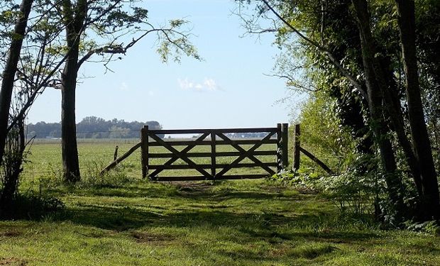 El sector inmobiliario rural alcanzó la mayor actividad de los últimos diez años