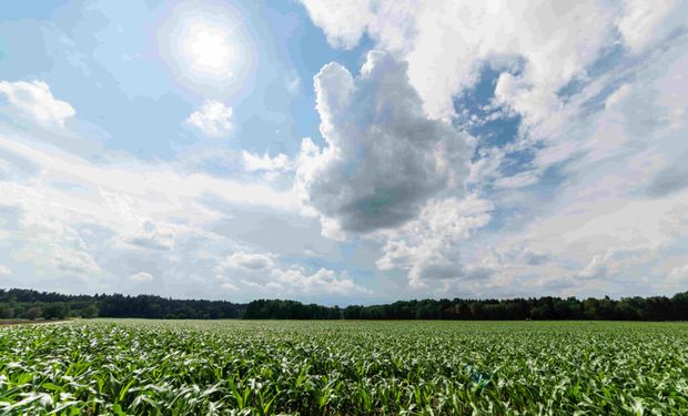 Pronóstico del tiempo a siete días: días sin lluvias y con temperaturas en aumento