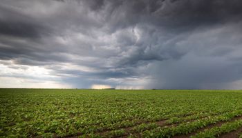 Se esperan tormentas a partir del fin de semana, mientras que las temperaturas van en aumento