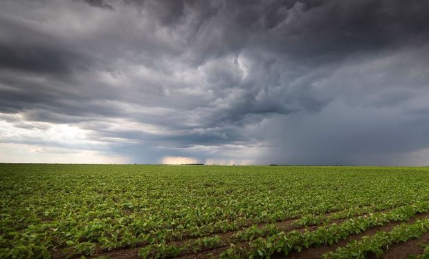 Pronóstico para el fin de semana largo: siguen las lluvias en la zona núcleo después de alcanzar acumulados de hasta 200 milímetros