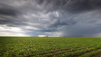 Las lluvias dejaron acumulados de 20 milímetros y van por más, pero habrá un cambio drástico