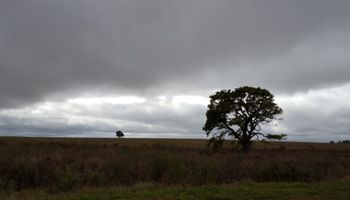 Febrero arranca con estabilidad: cuándo llegarían las lluvias importantes