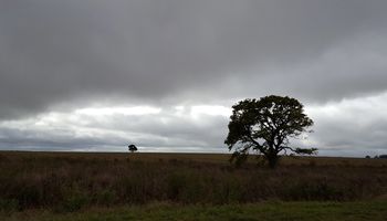 Vuelven las lluvias y la temperatura baja hacia el fin de semana