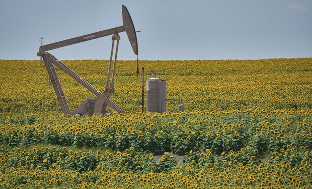 La fórmula para que cada campo tenga un "pozo petrolero" y la oportunidad que perdió la Argentina (pero que todavía está a tiempo de recuperar)