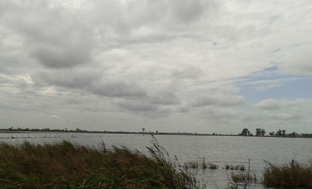 Liberan fondos para una obra clave que el campo reclama hace años