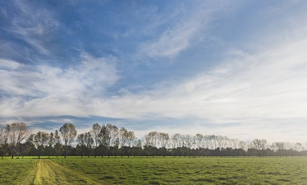 La empresa de agro de los Pérez Companc certificó la producción de un icónico campo