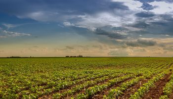 Agronegócio puxou o PIB de Goiás no 3º trimestre de 2022