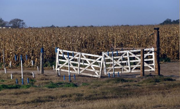 La actividad inmobiliaria rural cayó un 15 % tras la incertidumbre por los cambios en el Gobierno